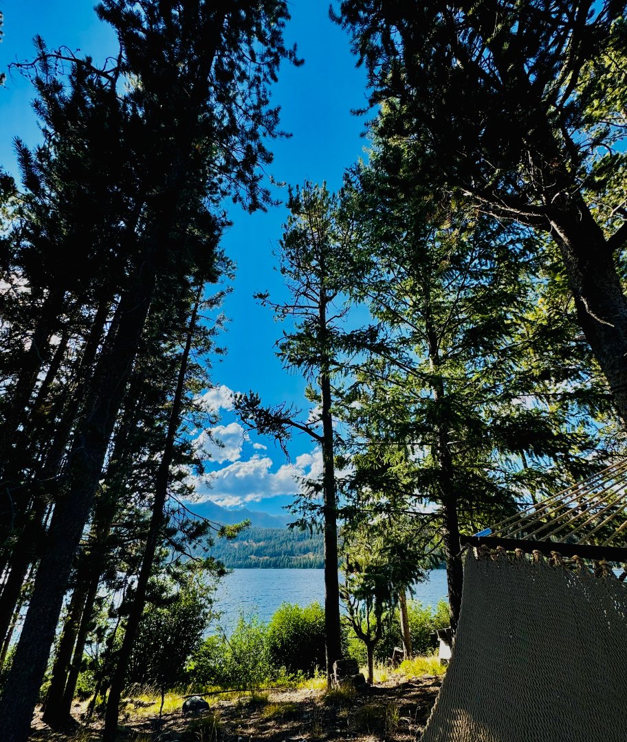 SEO web design responsive design structured data mobile-first image optimization