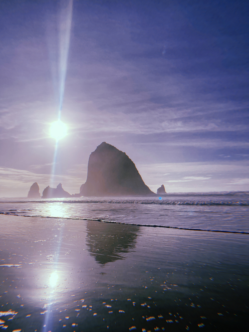 Custom illustrations in branding Handcrafted design trends Unique brand identity design Hand-drawn logos and icons Authentic branding strategies