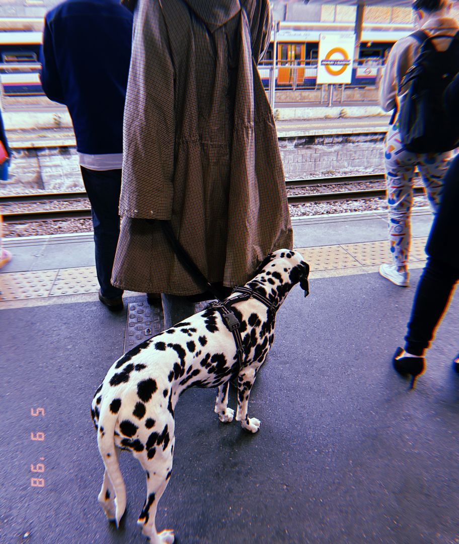 Metaverse Marketing | Social Media | NFTs | Virtual Experiences |