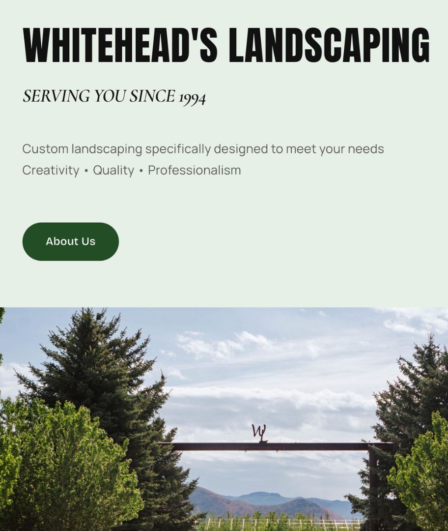 web design Sun Valley | user experience design | mobile web design | local SEO strategy |